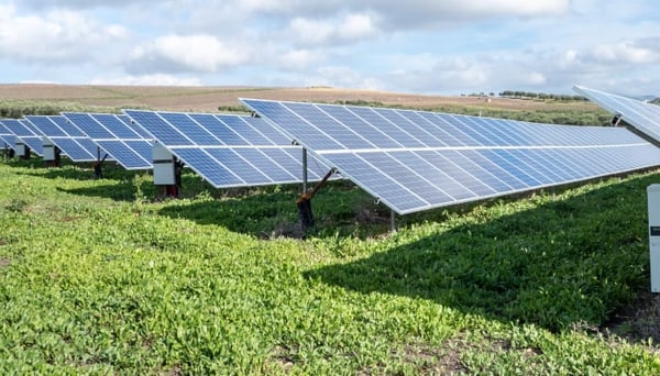 Viña con paneles solares